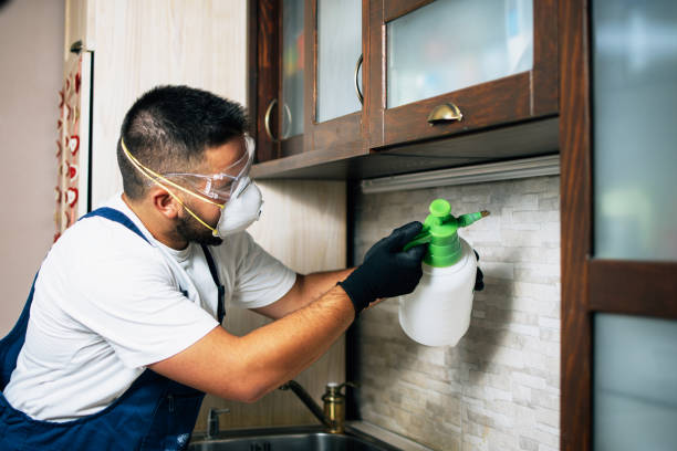 Best Pest Control Cost  in Pigeon, MI
