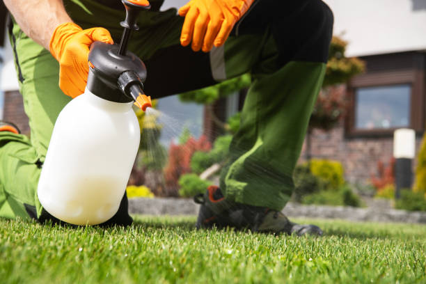 Best Affordable Pest Control Services  in Pigeon, MI