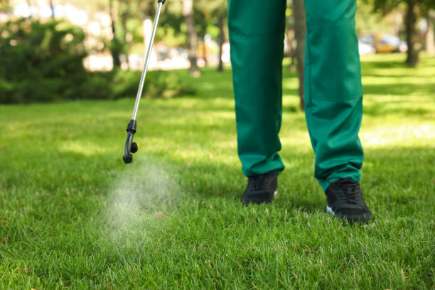 Insect Control in Pigeon, MI