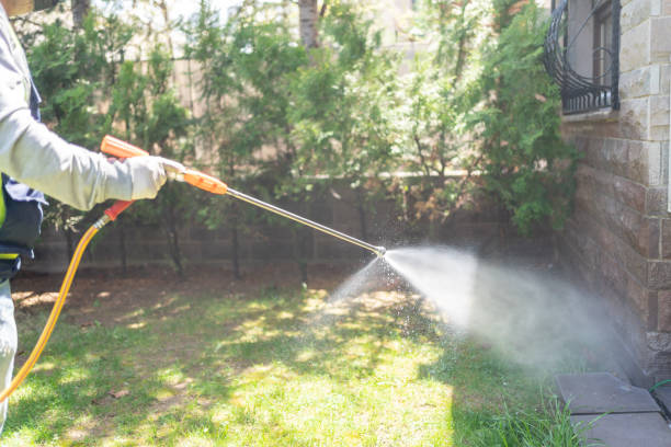 Best Bird Control  in Pigeon, MI