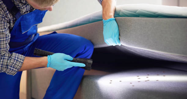 Best Best Pest Control Companies  in Pigeon, MI