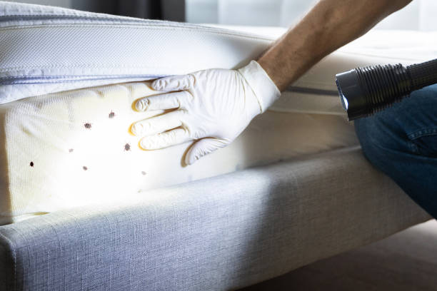 Pest Control Cost in Pigeon, MI