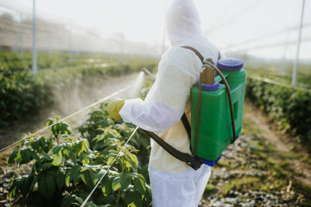 Best Insect Control  in Pigeon, MI